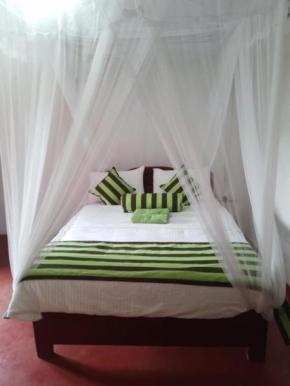 Jungle View Cottage